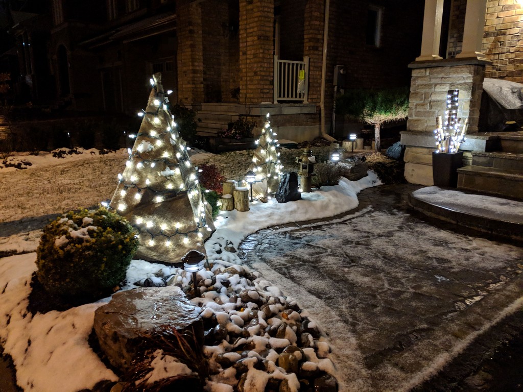 How to use burlap to wrap trees/plants for Christmas and winter ...