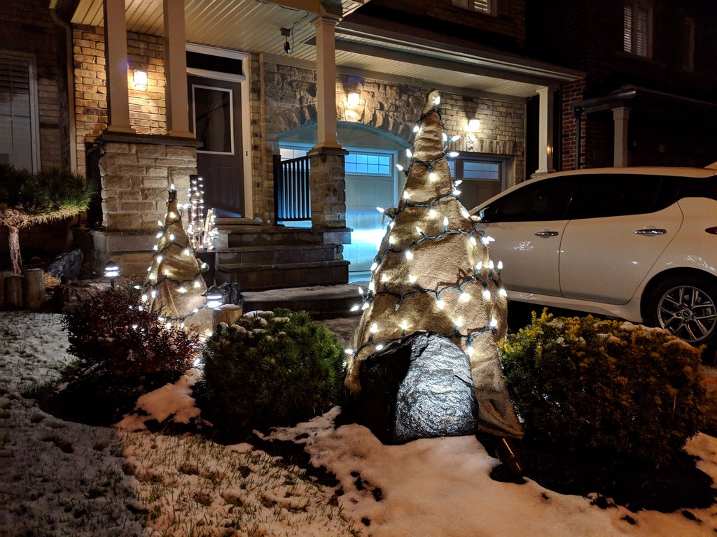 How to use burlap to wrap trees/plants for Christmas and winter